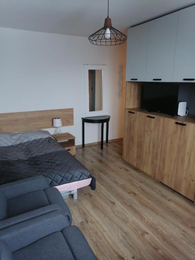 Studio Park Saski 1 & 2 Сандомир Екстер'єр фото