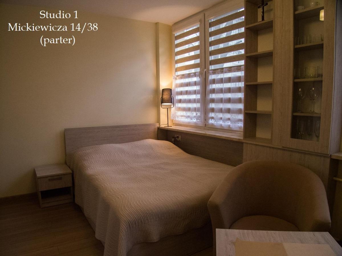 Studio Park Saski 1 & 2 Сандомир Екстер'єр фото